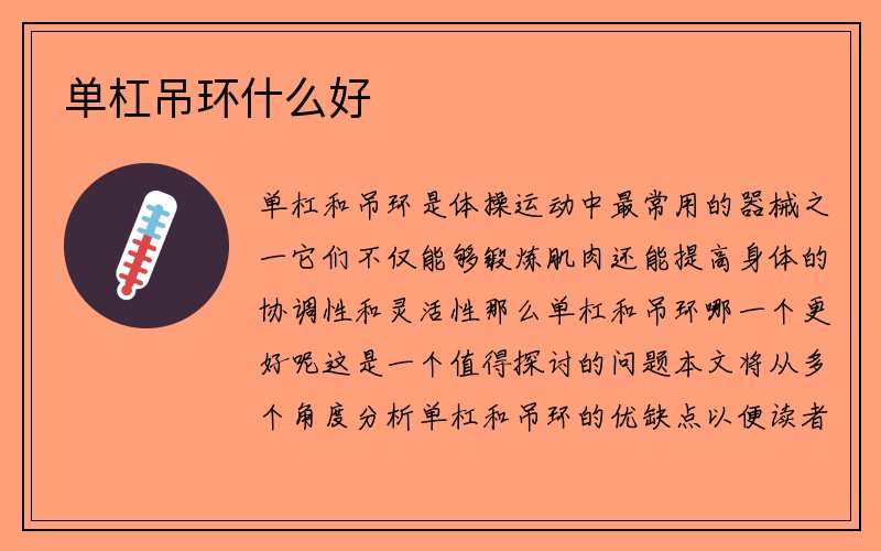 单杠吊环什么好