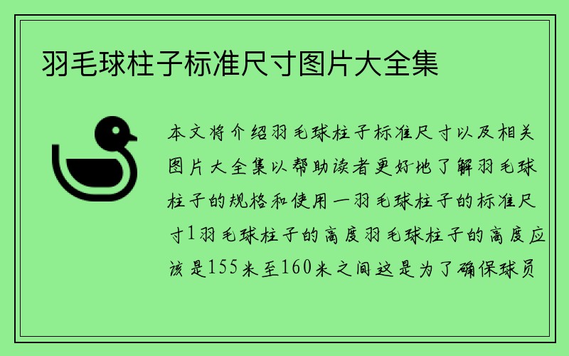 羽毛球柱子标准尺寸图片大全集